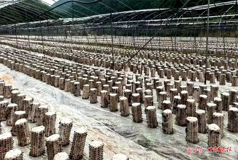 GetAttachment (1).jpg