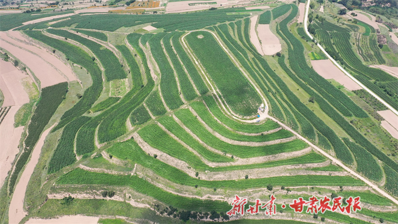 1754397006745836.jpg 1754299907226086869.jpg