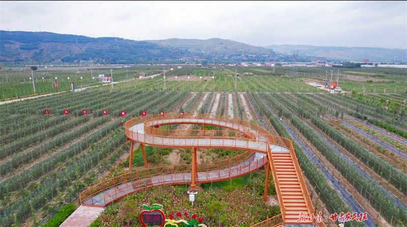 靜寧縣城川鎮智慧果園