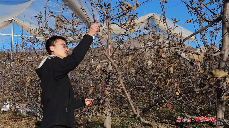 馬茹港實地查看樹勢