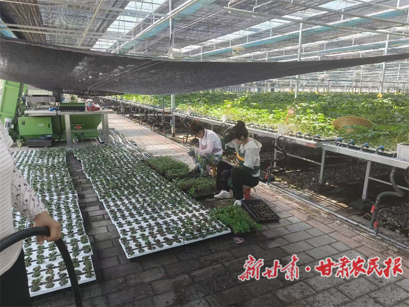 1766374741934282.jpg 1766141023320075344.jpg